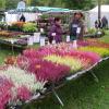 Wenig golden war das Wetter zu den Goldenen Herbsttagen auf Schloss Scherneck. Viel Farbe brachten bei dem Herbstmarkt die unzähligen Blumen auf das Schlossgelände und fanden auch guten Absatz.