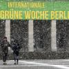 Dichtes Schneetreiben vor dem Haupteingang zur Internationalen Grünen Woche in Berlin. Die diesjährige Grüne Woche findet vom 19. - 28.01.2018 in den Messehallen unter dem Funkturm statt.