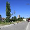 Eine Baumfällung in Eigenregier musste die Polizei in Augsburg am Samstag beenden. Die Feuerwehr rückte dann aus und fällte den Baum.