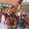 Beim großen Faschingsumzug in Kammlach war auch heuer wieder viel geboten.