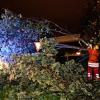 Feuerwehrmänner entfernen in Freiburg einen umgestürzten Baum.