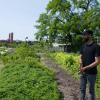 Zugreifen erlaubt: Nathan Hunter erklärt das Konzept des Foodway Gardens im Concrete Plant Park.