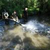 Die Jugendfeuerwehren aus Herbertshofen und Erlingen spülen die Kiesbänke am Mädelelech frei.