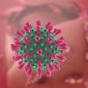 Das Coronavirus ändert ständig sein Gesicht. Im Fokus stehen derzeit vor allem die als ansteckender geltenden Varianten aus Großbritannien und Südafrika. Die britische Variante breitet sich im Landkreis Dillingen aus. 