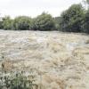 Im Landkreis (auf dem Foto Thannhausen) verwandelt sich die ansonsten gemächliche Mindel bei Hochwasser immer wieder in einen reißenden Fluß. Hochwasserschutz-Projekte im Mindeltal sollen vor Schäden schützen.  