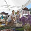 Die Vielfalt an Blumenzwiebeln ist auf der Diga in Wiblingen seit Jahren ein Magnet. Verkäuferin Gaby Meijer (links) packt für Kundin Jasmin Lober ein Auswahl ein.