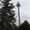 Der Funkturm im Villenbacher Postweg wurde schon 1982 gebaut – allerdings 60 Zentimeter zu hoch. Nun braucht es eine nachträgliche Genehmigung, die der Anwohner Georg Wiedenmann jedoch verhindern will.  	