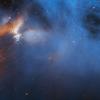 Das «James Webb»-Weltraumteleskop der NASA/ESA/CSA zeigt die zentrale Region der dunklen Molekülwolke Chamäleon I, die sich in 630 Lichtjahren Entfernung befindet.