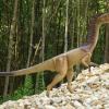 Dieser Coelophysis war aus dem Dinopark geklaut worden. 	