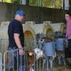 Landwirt Albert Sporer sorgt mit Tochter Hannah für das frühmorgendliche Milchfrühstück der Kälber auf seinem Hof in Oberliezheim. 