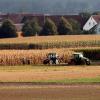 Wie viele ihrer Kollegen in ganz Deutschland, haben es die Landwirte in der Region zur Zeit nicht leicht: Die lange Trockenheit lässt ihre Erträge schrumpfen.