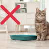 Unsere Autorin will keine Katzenklos von Tieren verreister Nachbarn mehr sauber machen.