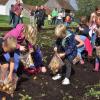 Goldgräberstimmung auf dem kleinen Museumsacker hinter dem Hofstetter Haus: Die Kinder konnten gar nicht genug bekommen vom Kartoffelklauben. 