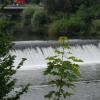 Hier könnte ein Pilotprojekt in Sachen Wasserkraft umgesetzt werden: Mathias Fontin will in dieses Wehr bei Dietenheim ein Schachtkraftwerk einbauen. Diese Technik soll besonders umweltfreundlich arbeiten. 