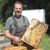 Für Rainer Bickel sind seine Bienen nicht nur Honig- und Wachslieferanten. Sie prägen auch seine Lebensphilosophie.