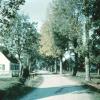 Im Jahr 1955 war die Straße von Deubach nach Gessertshausen noch von einer stattlichen Allee und Streuobstwiesen gesäumt.