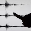 Erdbeben Seismograph Feature
