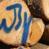 In der Vergangenenheit war der Holzpreis oft auf Talfahrt, nun aber hat sich die Situation geändert. Das stimmt die Waldbesitzervereinigung (WBV) zuversichtlich, auch wenn in der Kasse nach zwei schwierigen Jahren aktuell ein Loch klafft.