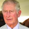 Der britische Prinz Charles setzt sich leidenschaftlich für den Umweltschutz ein. Als König wäre er da etwas zurückhaltender, sagt er.