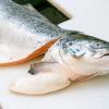 Lachs mit Bio-Siegel ist Experten zufolge eine gute Wahl: Hier können Verbraucher darauf vertrauen, dass bestimmte Standards beim Fischfang eingehalten wurden.