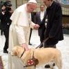 Der Pontifex segnet Blindenhund Asia.