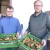 Gärtnereichef Robert Dieminger (rechts) und Auszubildender Niklas holen frischen Ingwer. Dreimal die Woche wird der Handel beliefert. In unserer Region kommen frische Knollen aus dem Boden.