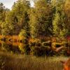 Das Haspelmoor begeistert auch im Herbst mit idyllischer Naturszenerie.