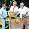 Arno Bruder, Markus Ferber und Manfred Hederer (von links) inspizieren im Bienen-Fachzentrum in Landsberg einen Bienenstock. Foto: Thorsten Jordan