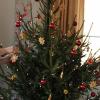 Inge Stelzenmüller und Astrid Martin haben im Martin-Luther-Haus alles vorbereitet für das Weihnachtsfest, zu dem jeder eingeladen ist, der nicht allein bleiben möchte. Jetzt wird noch letzte Hand an die Dekoration des Christbaums gelegt.