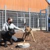 Komplett neu gestaltet wurde im vergangenen Jahr der Außenbereich für Hunde im Tierheim Beckstetten. Magdalena Herz leistet dort ihren Bundesfreiwilligendienst und legt gern mal eine Spielstunde mit den Tieren ein.  