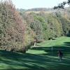Es ist und bleibt ein Golfplatz bei Schloss Klingenburg. Und dennoch gibt es auf dem 110 Hektar großen Gelände viele naturbelassene Flächen.