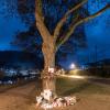 Grablichter an einem Baum neben der Dreisam in Freiburg erinnerten an die Studentin, die hier vergewaltigt und getötet wurde. (Archiv)