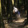 Ein Mountainbiker fährt im Wald mit seinem Fahrrad abseits der großen Wege. Es kommt immer wieder zu Konfrontationen mit Waldbesitzern und Naturschützern, teilweise sogar mit Gewalt. 