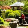 Der japanische Garten ist einer der vielen Themengärten im Augsburger Botanischen Garten. 	 