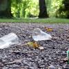 Plastikbecher, Essensverpackungen und weiterer Unrat landen im Weißenhorner Stadtpark häufig auf dem Boden statt in den Mülleimern. Verursacher sind meistens Gruppen von Jugendlichen und jungen Erwachsenen. 