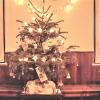 Die ukrainischen Geflüchteten haben den Weihnachtsbaum in der ehemaligen Schlosswirtschaft in Obergriesbach geschmückt und freuen sich auf eine gemütliche Feier an Heiligabend.