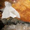 In den Kristallen haben Forscher über 10.000 Jahre alte Mikroben entdeckt.