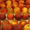Fein säuberlich hatte Anton Klaus die Äpfel auf den Tisch sortiert. Der Experte hat selbst rund 500 Apfelsorten in seinem 3000 Quadratmeter großen Garten. 