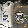 Behälter mit Roundup, einem Unkrautvernichter von Monsanto, stehen in einem Regal in einem amerikanischen Baumarkt.
