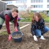 Felicia Oberholzner (links) und Daniela John sammeln Laub und Steine aus dem künftigen Gemüsebeet. 