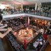 1000 Zuschauer kamen im vergangenen Jahr zur „Fight Night“ in die Glacis-Galerie. An diesem Wochenende macht die Veranstaltung Station in der Ratiopharm-Arena – mit voraussichtlich 3000 Zuschauern. 	