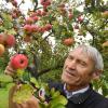 Anton Klaus in seinem Garten im Unterallgäuer Oberneufnach: Dort wachsen 500 verschiedene Apfelsorten. Hier begutachtet er einen Gartenmeister Simon. Dieser gilt als ausgesprochen gesund.