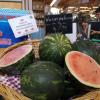 Im Bauernmarkt Dasing gibt es Melonen aus der Region.