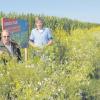 Zufrieden sind Imker Gerhard Beier (links) und Landwirt Martin Scherer mit der Blütenpracht, die sich rund um das Maisfeld entlang der Staatsstraße Richtung Königsbrunn entwickelt hat. Die Blumen sind Nahrungsquelle für Insekten. 