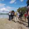 Der Zustand der Kiesufer an der Ostseite des Ammersees beschäftigt immer wieder Anwohner und Naturschützer. Unser Foto zeigt eine Begehung unter anderem mit dem Biologen Burkhard Quinger (mit Hut) im Jahr 2015.