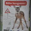 Auf die Gefahr von Wildunfällen weist unter anderem dieses Plakat an der B2 zwischen Donauwörth und Kaisheim hin.