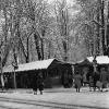 1938: Zwischen den Bäumen am Königsplatz schlenderten die Marktbesucher entlang der Stände.