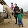 Beim pädagogischen Projekt "Pferd und Natur" macht Maria Katthän mit den Kindern Ausritte mit dem Schimmel Radshani.