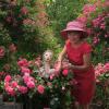Scheint zur Kulisse zu gehören: Brigitte Winter bei der Pflege ihrer Rosen.             