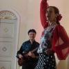 Wirbelnde Kleider und Gitarrensaiten sind die Merkmale des Flamenco. Ein begeistertes "Olé´" des Publikums war Ausdruck der Freude an einem "Spanischen Abend" im Schloss Reimlingen. 